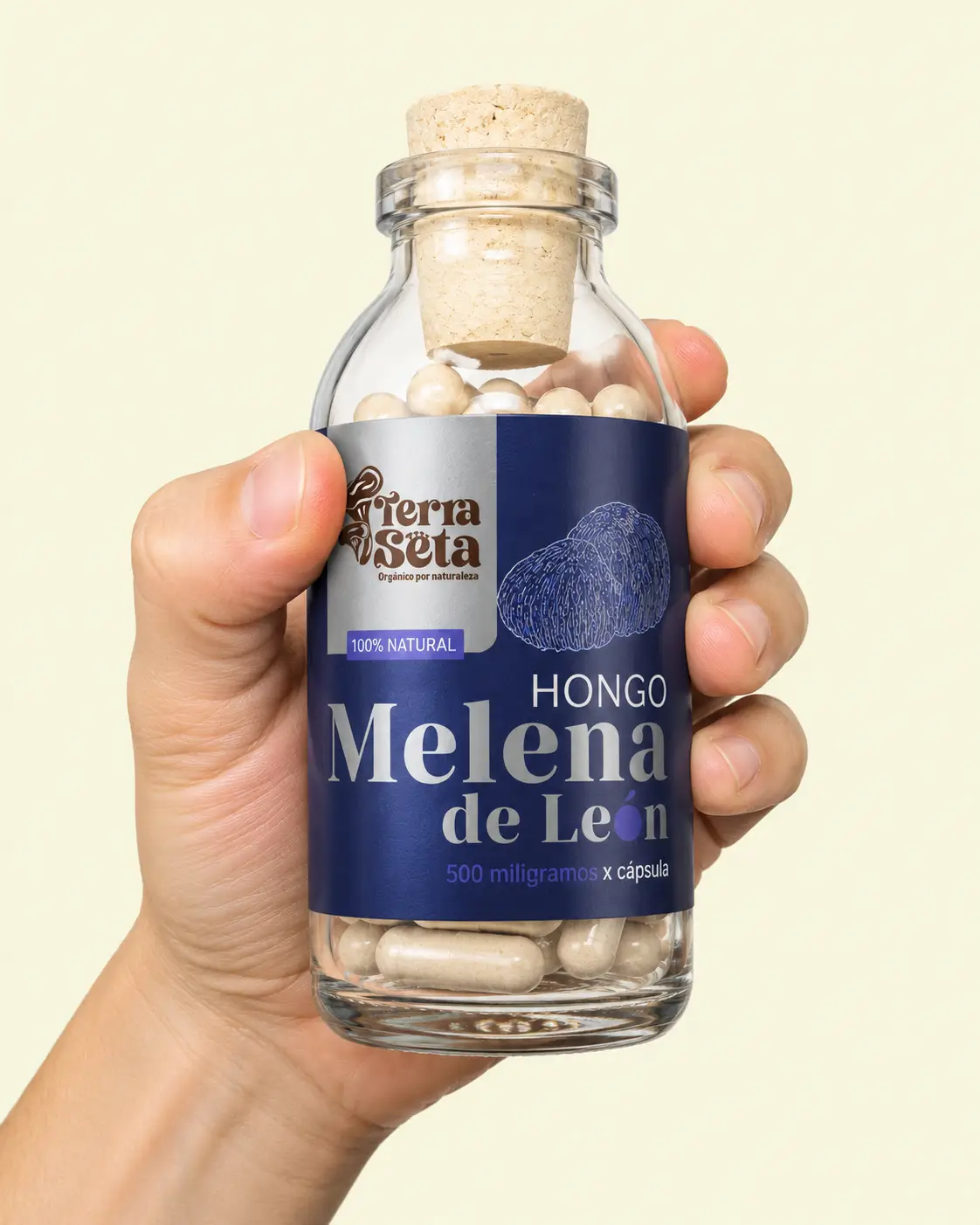 Cápsulas de melena de león